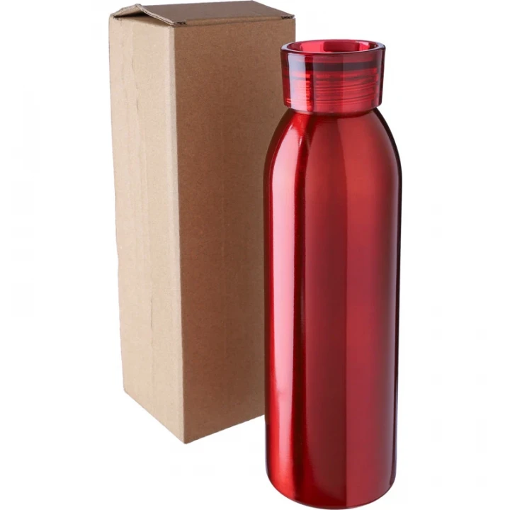 Stainless Steel Single-Walled Bottle 650ml