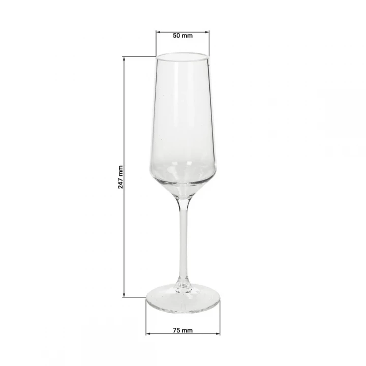 Vista Champagne Glass