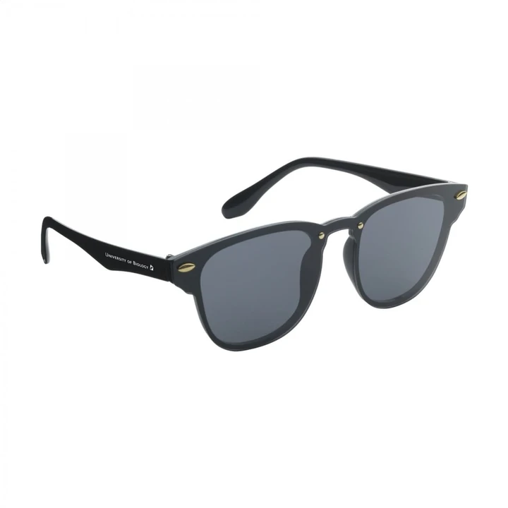 Carbon sunglasses