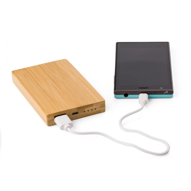 Bamboo power bank