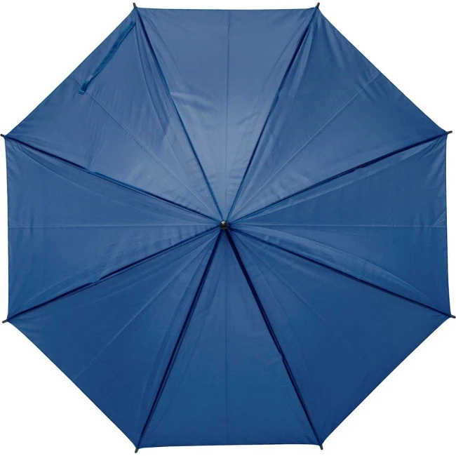 Automatic Umbrella