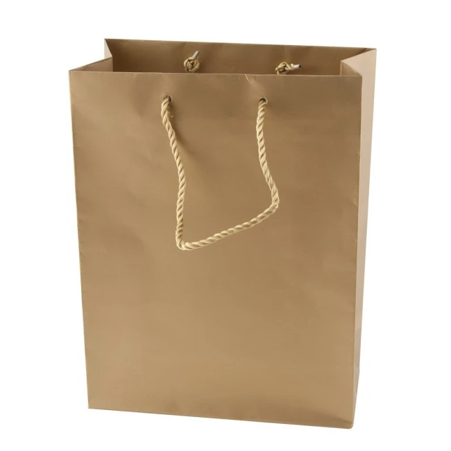 Matt paper bag 220 x 290 x 100mm