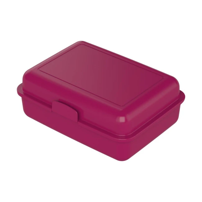 School Lunch Box Large