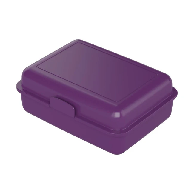 School Lunch Box Large