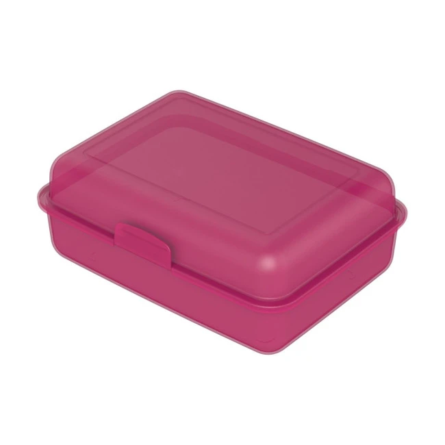 School Lunch Box Large