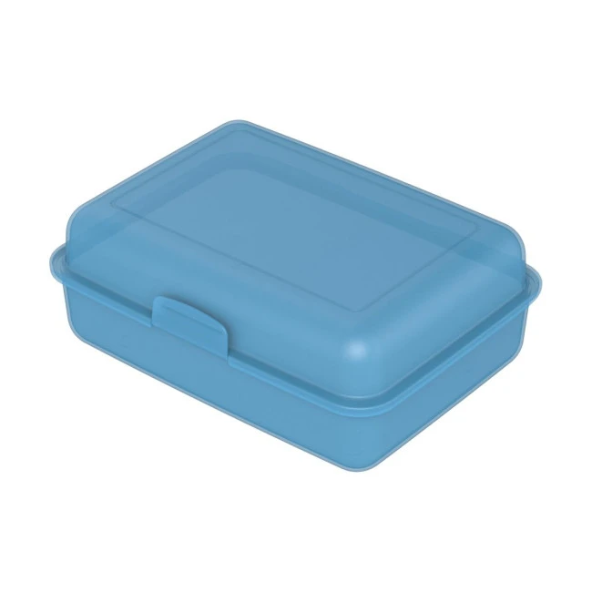 School Lunch Box Large