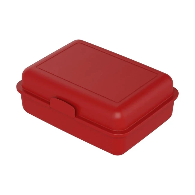 School Lunch Box Large