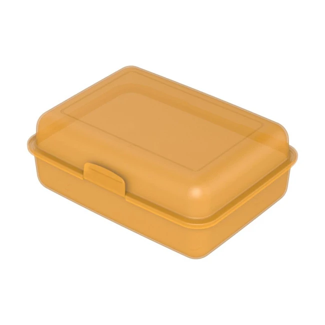 School Lunch Box Large