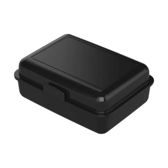 School Lunch Box Large