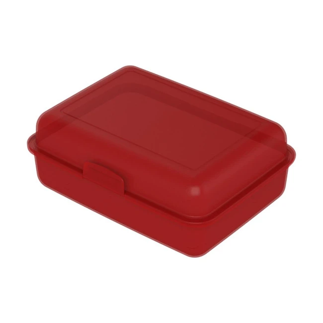 School Lunch Box Large