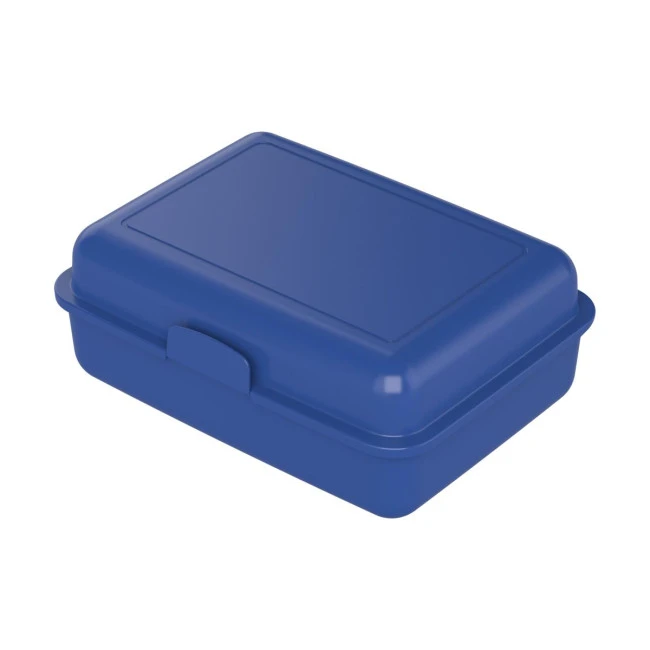 School Lunch Box Large