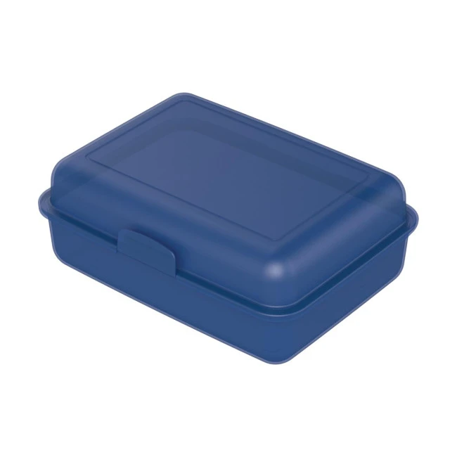 School Lunch Box Large