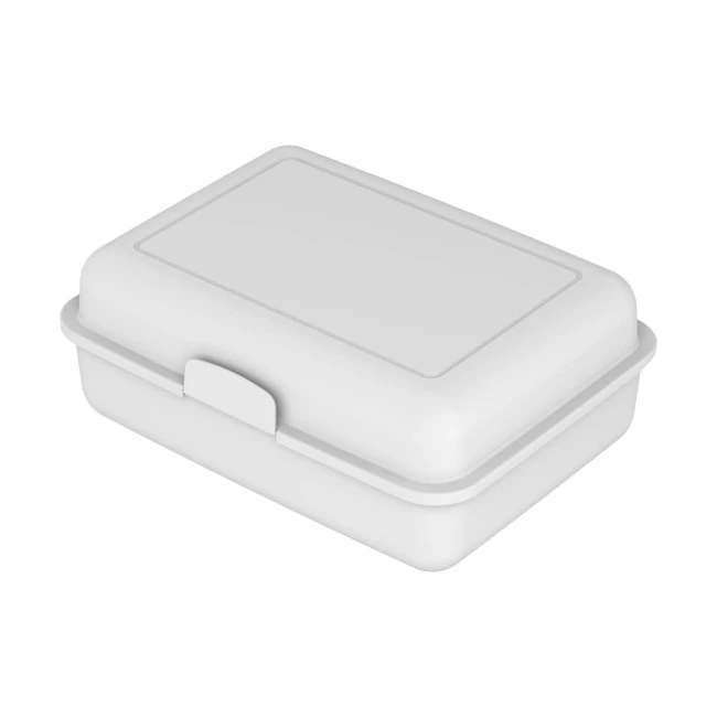 School Lunch Box Large