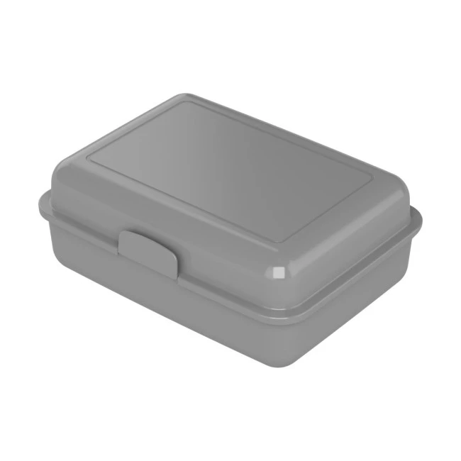 School Lunch Box Large