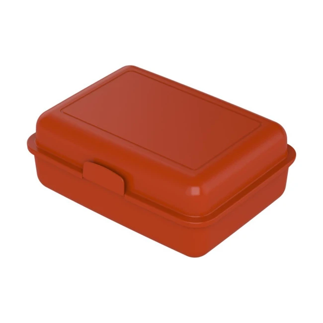School Lunch Box Large
