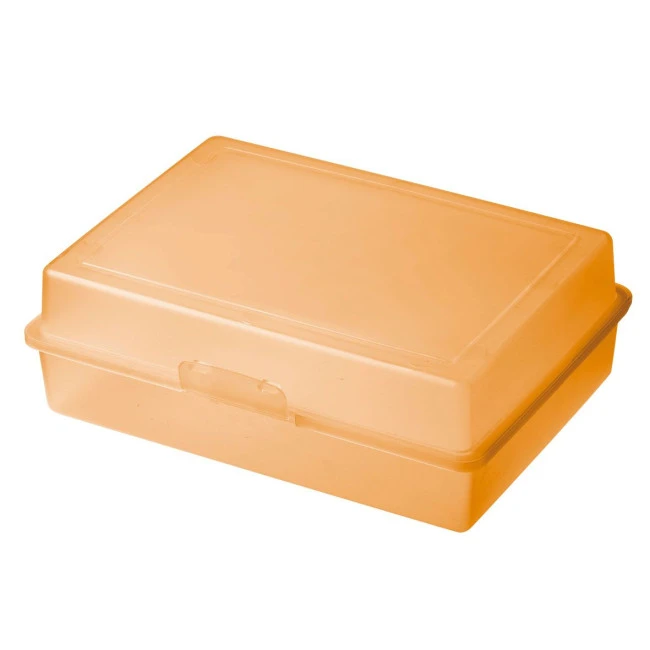 Picnic Lunch Box 