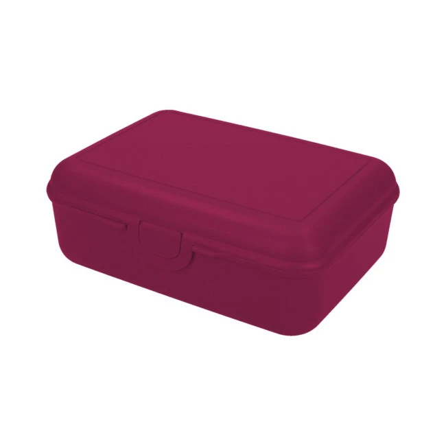 School Lunch Box Deluxe Without Separating Sleeve