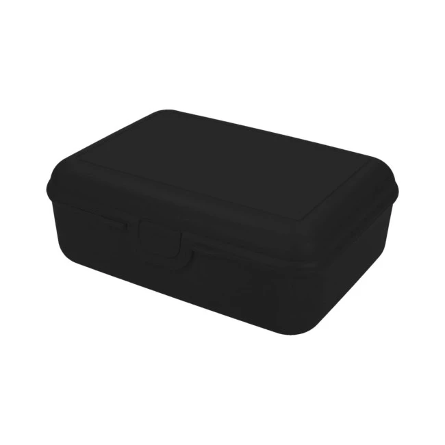 School Lunch Box Deluxe Without Separating Sleeve