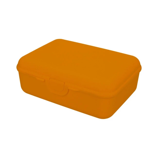School Lunch Box Deluxe Without Separating Sleeve