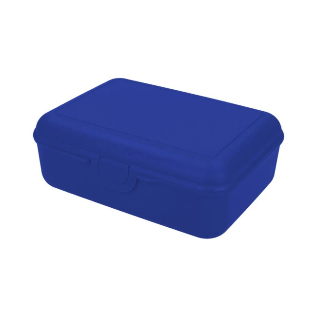 School Lunch Box Deluxe Without Separating Sleeve