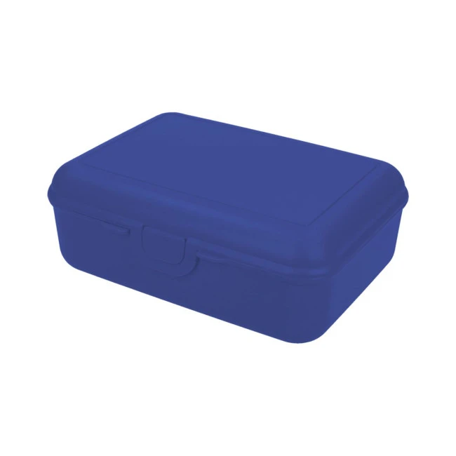 School Lunch Box Deluxe With Compartment Divider