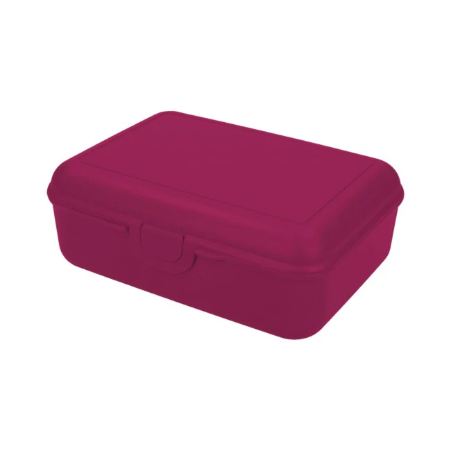 School Lunch Box Deluxe With Compartment Divider