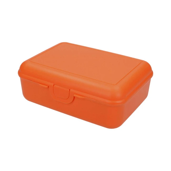 School Lunch Box Deluxe With Compartment Divider