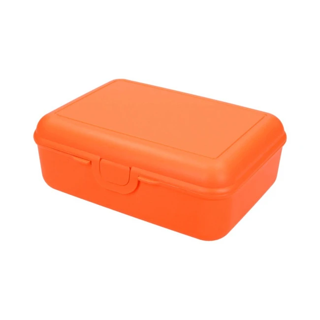 School Lunch Box Deluxe With Compartment Divider