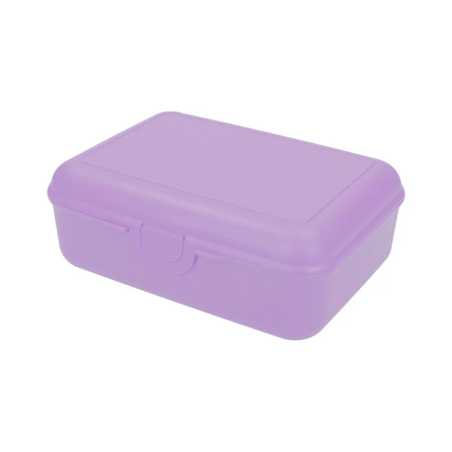 School Lunch Box Deluxe With Compartment Divider