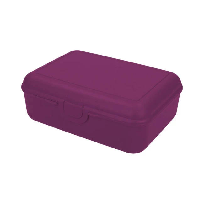 School Lunch Box Deluxe With Compartment Divider