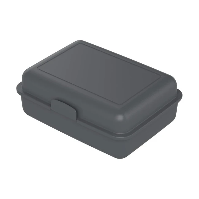 Eco Lunch Box Large