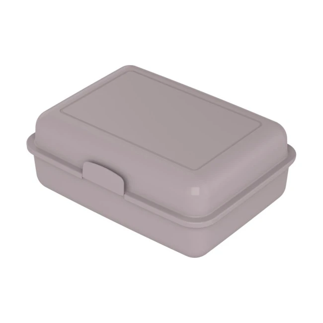 Eco Lunch Box Large