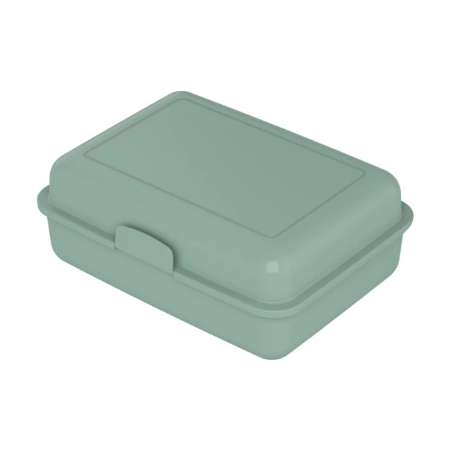 Eco Lunch Box Large
