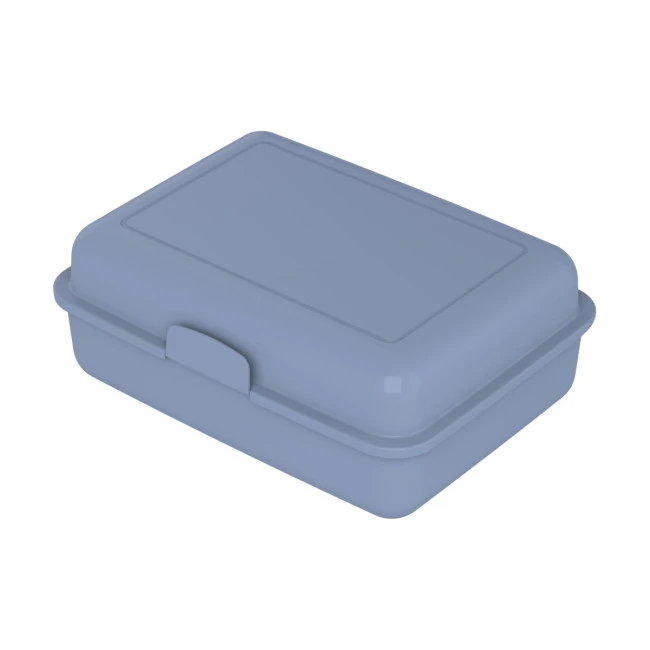 Eco Lunch Box Large