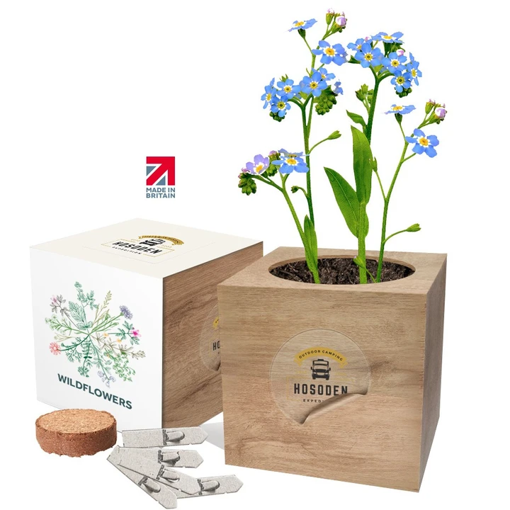 Desktop Cube Gardens