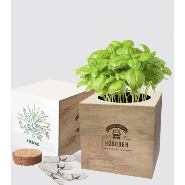 Essentials Desktop Cube Gardens