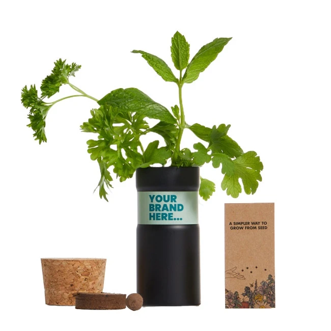Desktop Garden 