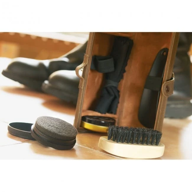 Shoe Polish Kit