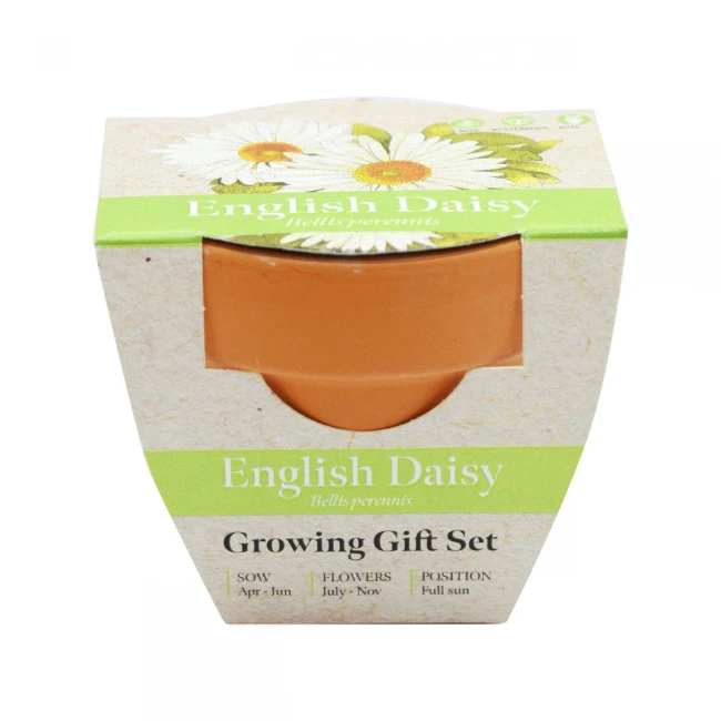 Green & Good Tiny Terracotta Pot