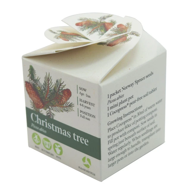 Green & Good Tiny Terracotta Cube
