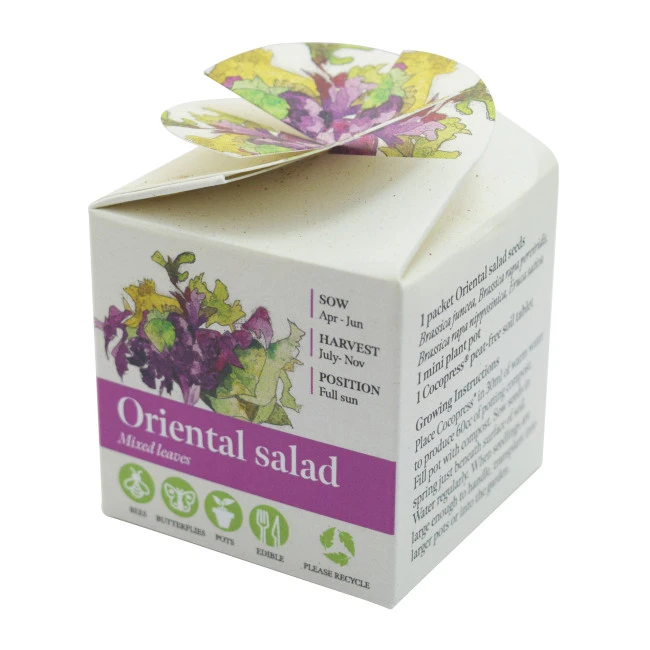Green & Good Tiny Terracotta Cube