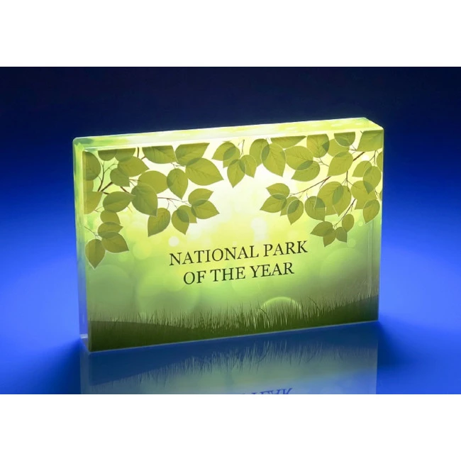 Plaque Crystal Award, 80