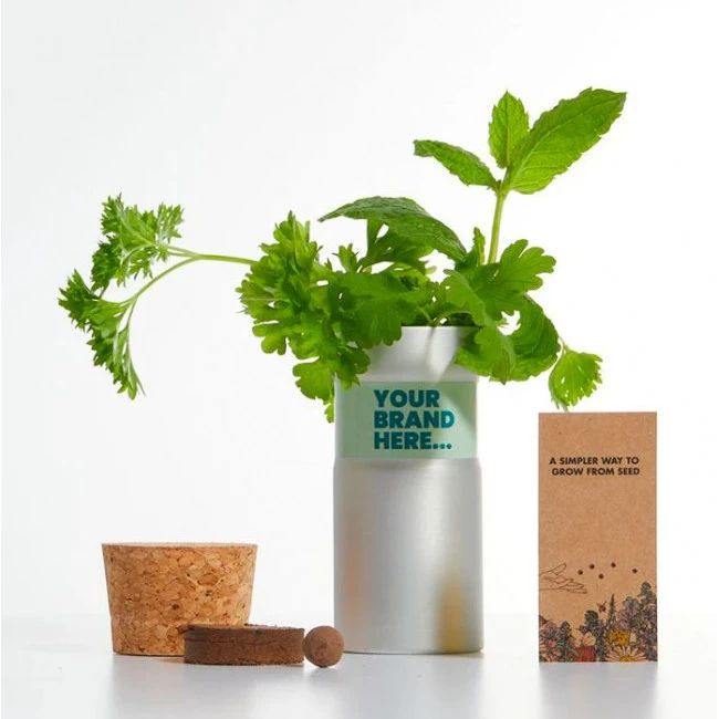 Desktop Garden 