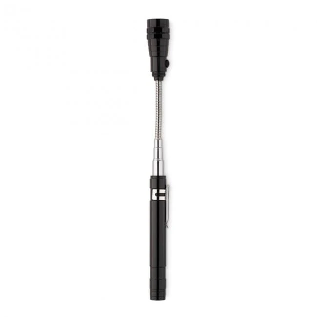 Extendable Torch
