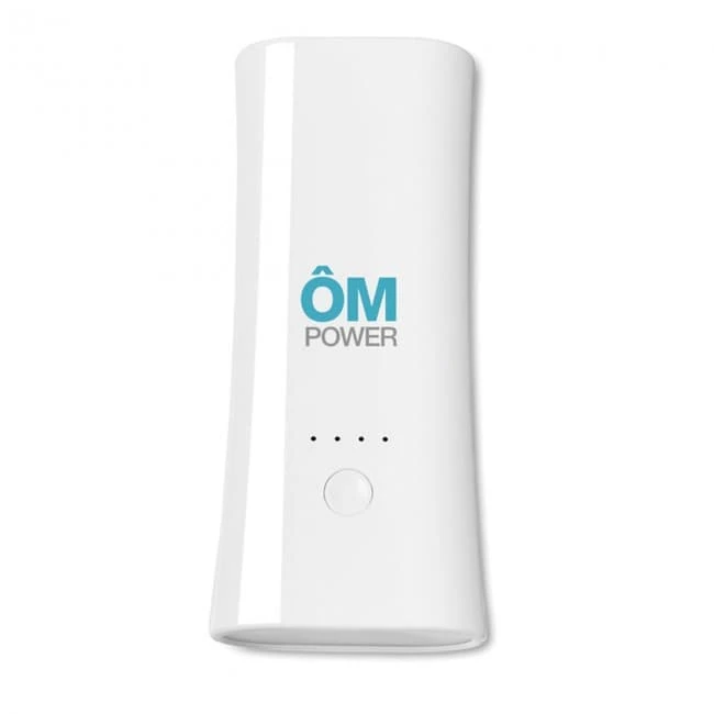 2 in 1 Powerbank and torch