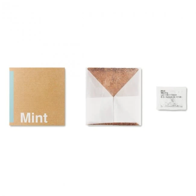Compost With Mint Seeds
