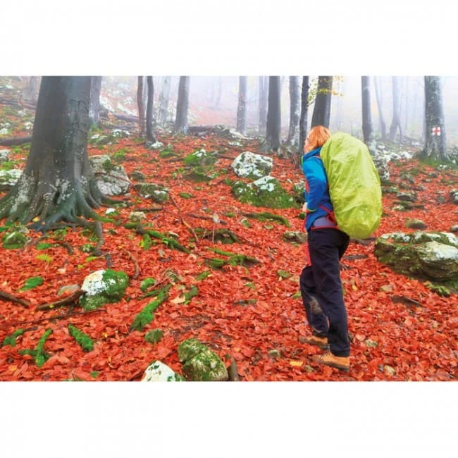 Foldable backpack cover