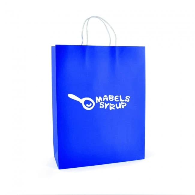 Brunswick Large Paper Bag