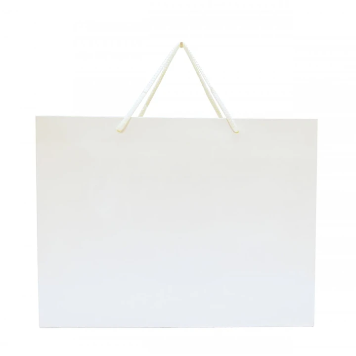 Walton Large Gloss Laminated Paper Carrier Bag