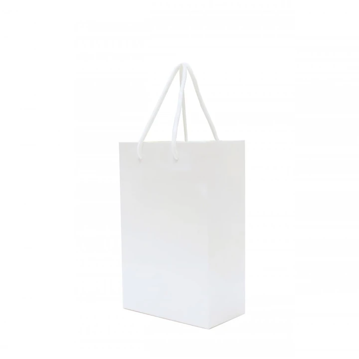 Walton A5 Gloss Laminated Paper Carrier Bag